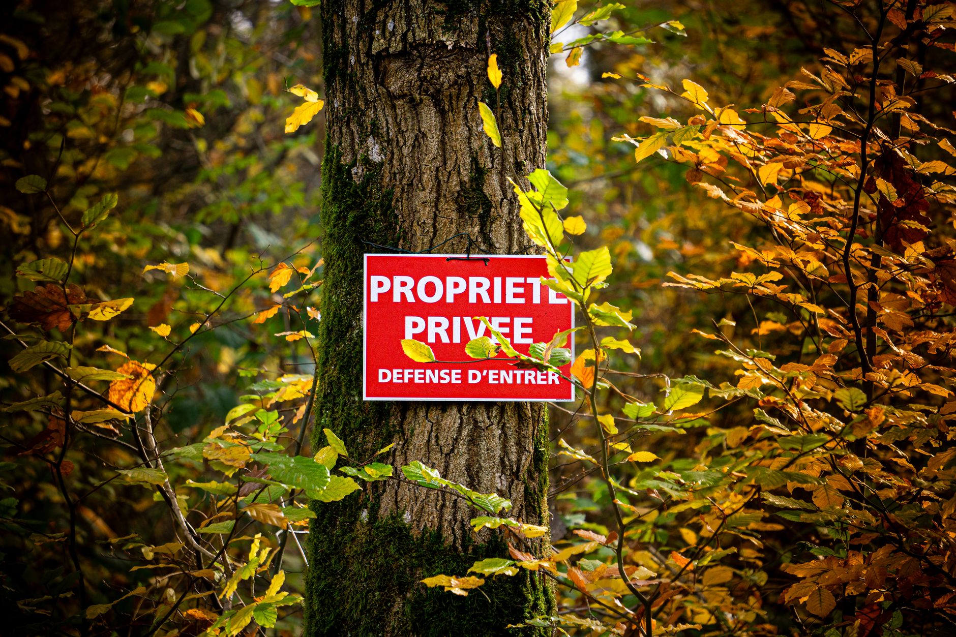Détective privé à Montauban